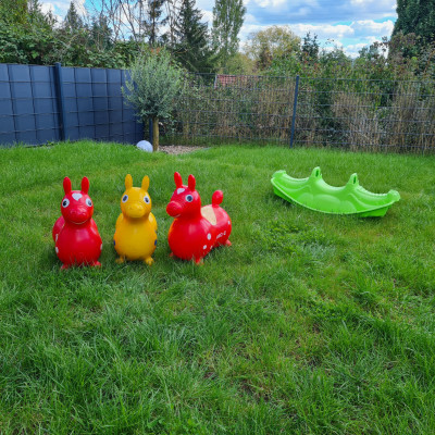 Eigene Pferde Eigene Pferde